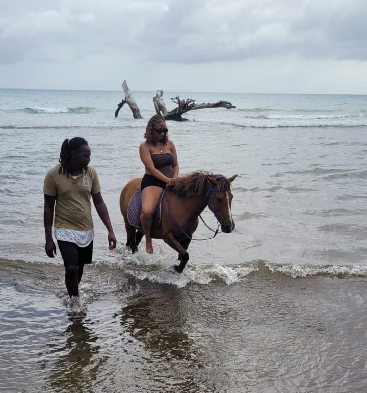 Equine Therapy